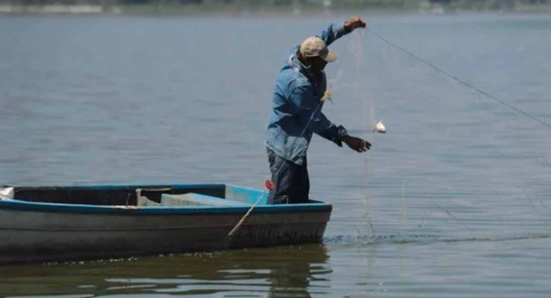 Comisión de pesca retiene 462 toneladas de producto pesquero ilegal en junio