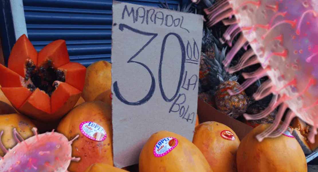Alerta por salmonelosis en jalapeños: estas frutas tienen antecedentes de contaminación