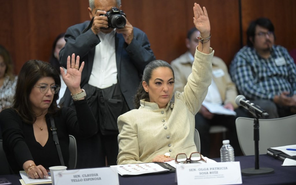 Olga Sosa participa en intensa jornada de trabajo legislativo