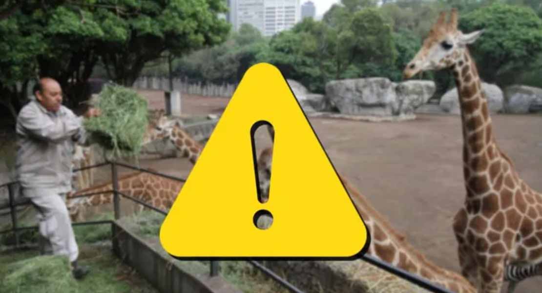 PETA Latino denuncia condiciones en el Zoológico de Chapultepec